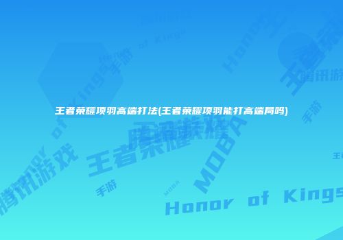 王者荣耀项羽高端打法(王者荣耀项羽能打高端局吗)