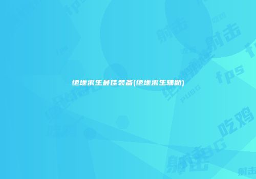 绝地求生最佳装备(绝地求生辅助)