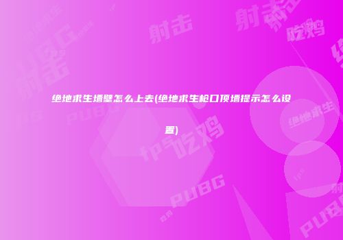 绝地求生墙壁怎么上去(绝地求生枪口顶墙提示怎么设置)