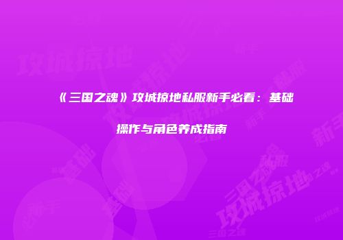 《三国之魂》攻城掠地私服新手必看:基础操作与角色养成指南