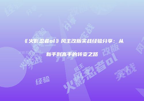 《火影忍者ol》风主改版实战经验分享：从新手到高手的转变之路