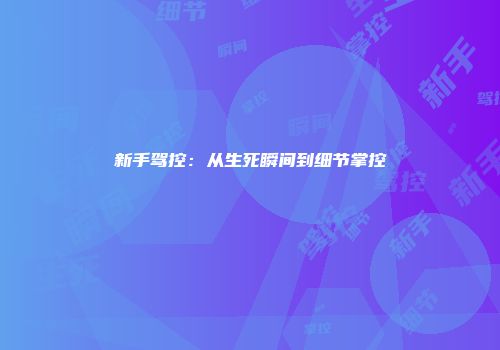 新手驾控:从生死瞬间到细节掌控