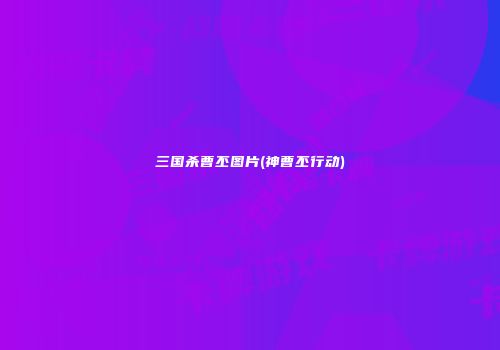 三国杀曹丕图片(神曹丕行动)