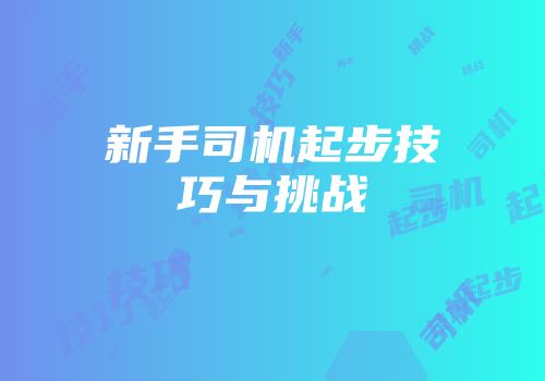 新手司机起步技巧与挑战
