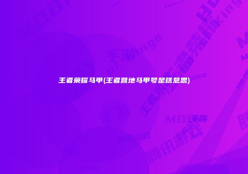 王者荣耀马甲(王者营地马甲号是啥意思)