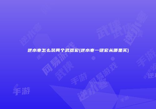 逆水寒怎么装两个武器宏(逆水寒一键宏从哪里买)