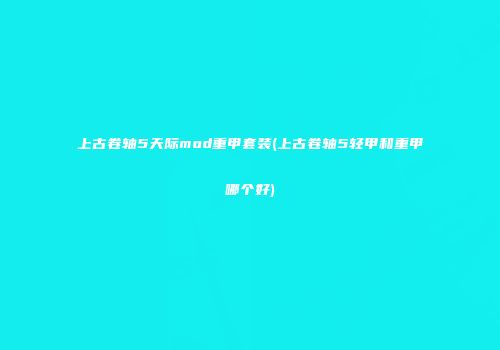 上古卷轴5天际mod重甲套装(上古卷轴5轻甲和重甲哪个好)