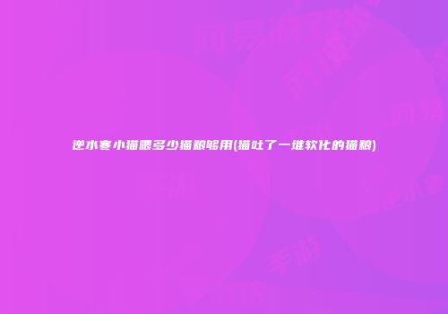 逆水寒小猫喂多少猫粮够用(猫吐了一堆软化的猫粮)