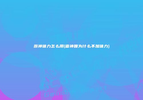 原神体力怎么用(雷神瞳为什么不加体力)