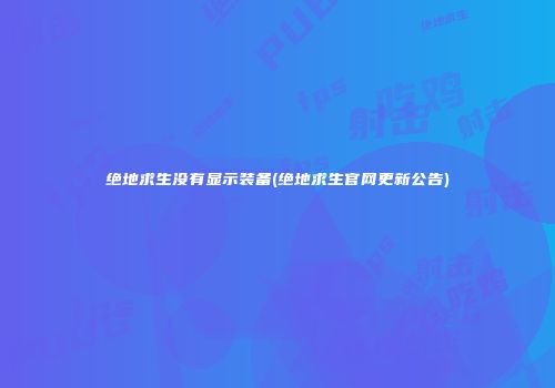 绝地求生没有显示装备(绝地求生官网更新公告)