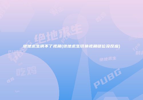 绝地求生调不了视角(绝地求生切换视角键位没反应)