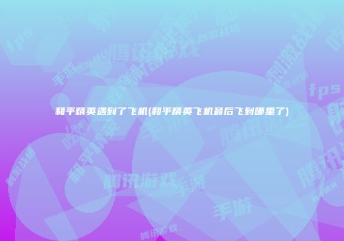 和平精英遇到了飞机(和平精英飞机最后飞到哪里了)