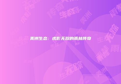 美洲生态:虎影无踪的雨林传奇