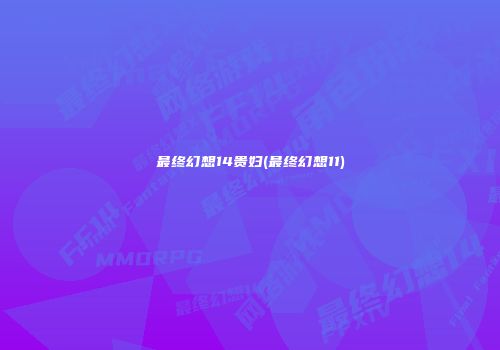 最终幻想14贵妇(最终幻想11)