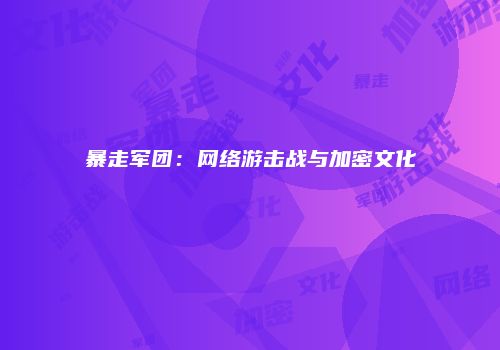 暴走军团:网络游击战与加密文化