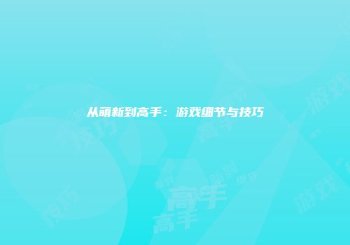 从萌新到高手：游戏细节与技巧