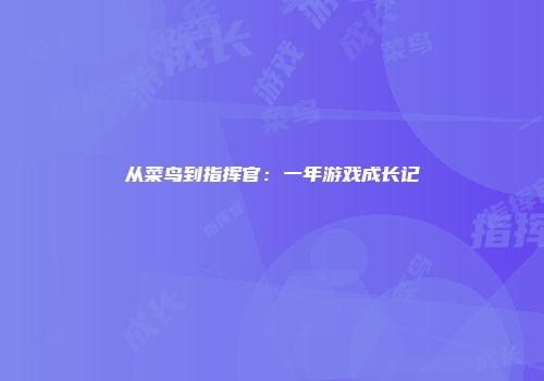 从菜鸟到指挥官：一年游戏成长记
