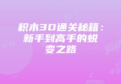 积木3D通关秘籍：新手到高手的蜕变之路
