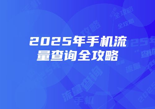2025年手机流量查询全攻略