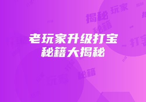 老玩家升级打宝秘籍大揭秘