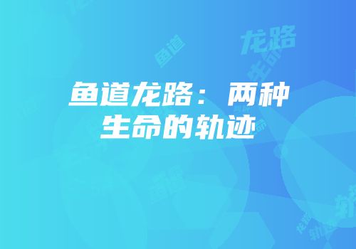 鱼道龙路：两种生命的轨迹