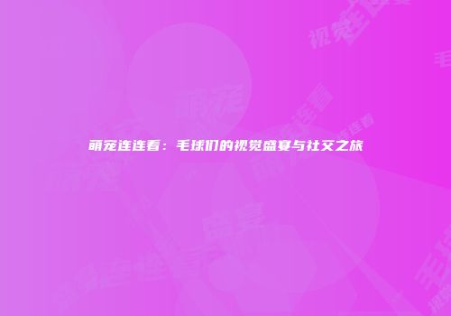 萌宠连连看：毛球们的视觉盛宴与社交之旅