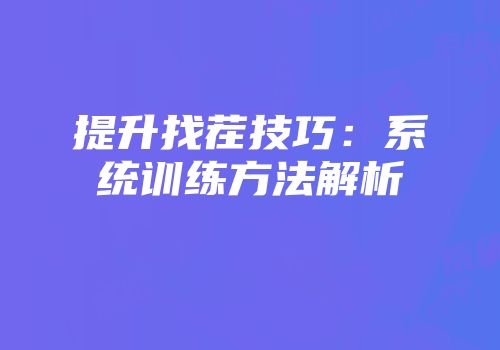 提升找茬技巧：系统训练方法解析