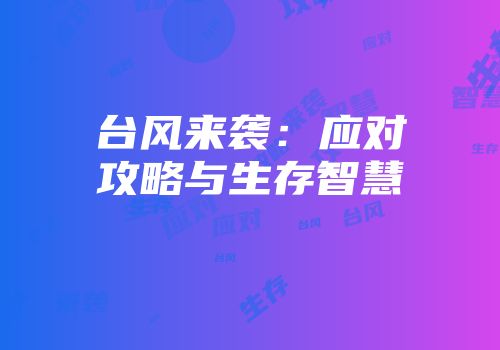 台风来袭：应对攻略与生存智慧